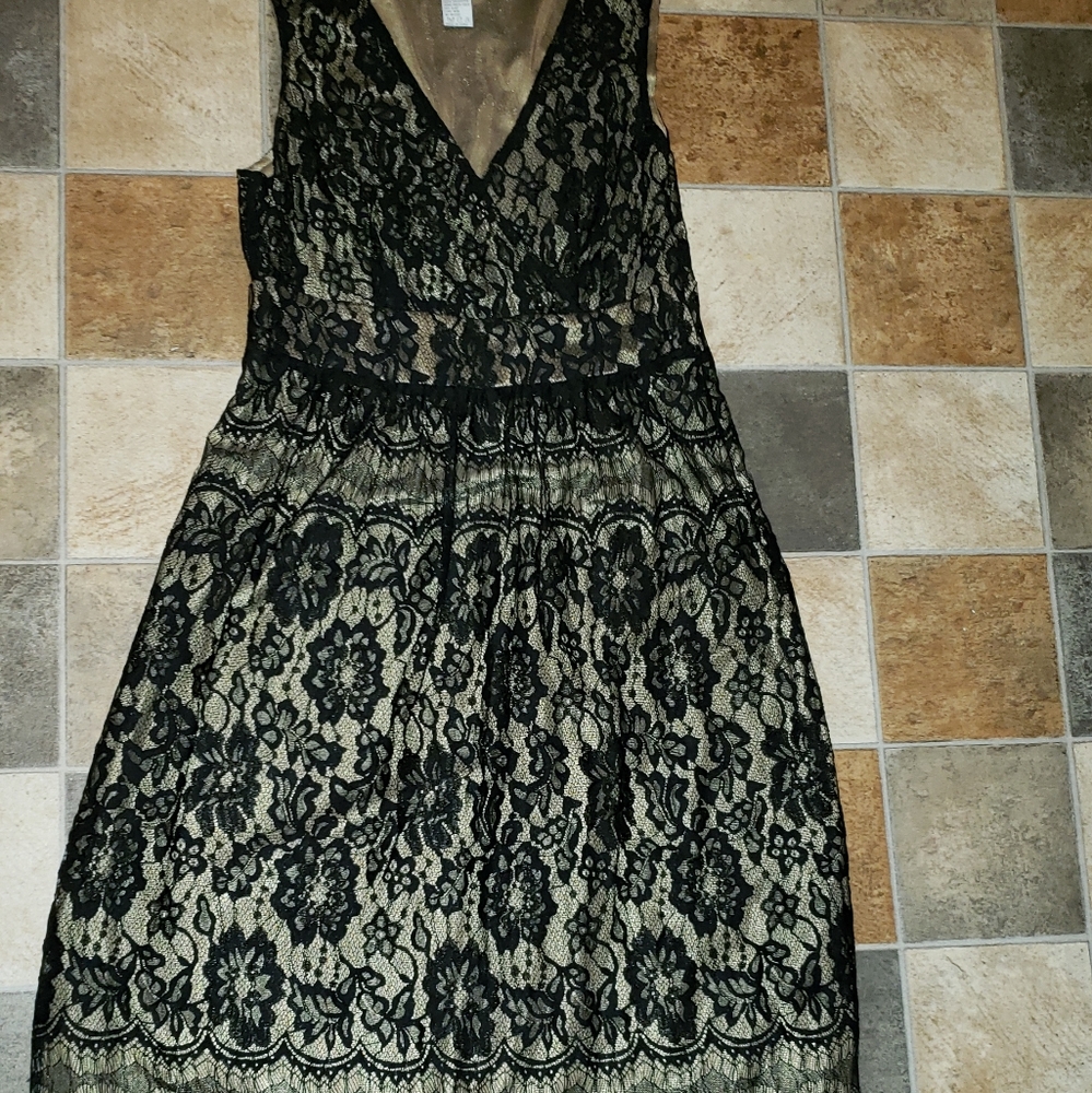 Isabella Bird dress